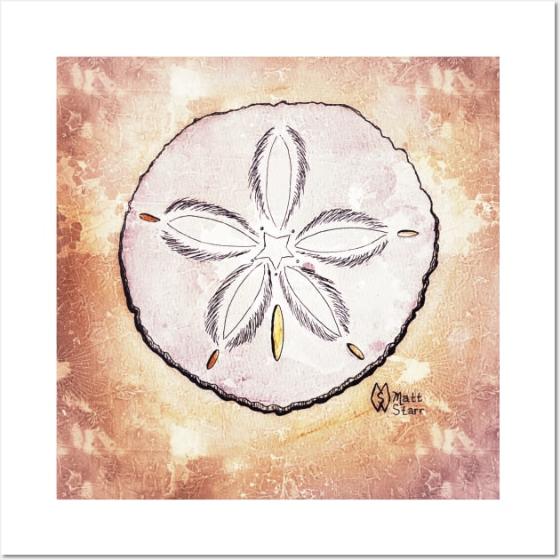 Sand Dollar Study Wall Art by Matt Starr Fine Art